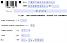 Отчетность по страховым взносам, бланк Пример заполнения за 2 квг рсв